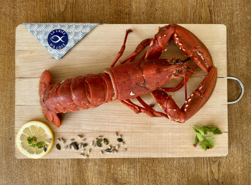 La Criée d'à Côté - Homard Bleu Cuit - 500 g