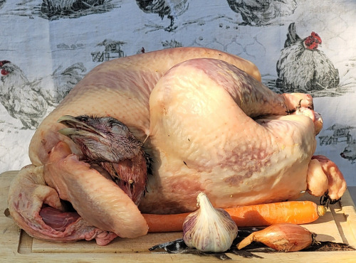 Ferme Avicole des Grands Champs - Dinde bronzée entière PAC 5,5kg