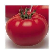 Les Jardins de Mondpa - tomates rondes mélange