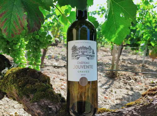 Château Jouvente - Le Blanc confidentiel de Jouvente - AOC Graves 2020 - 6 Bouteilles