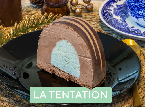 Mademoiselle Fayel - Bûche Glacée Bio : La Tentation 4 pers