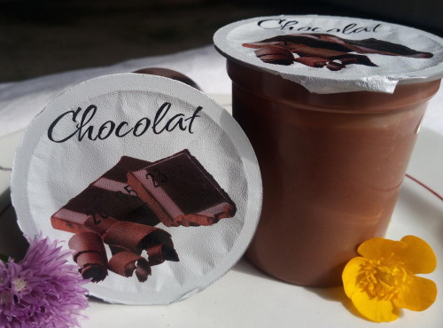 Ferme Joos - crème dessert au chocolat (lot de 6)