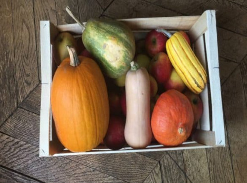 La Coussoyote - panier de 4 courges d 'exception plus petit cadeau !