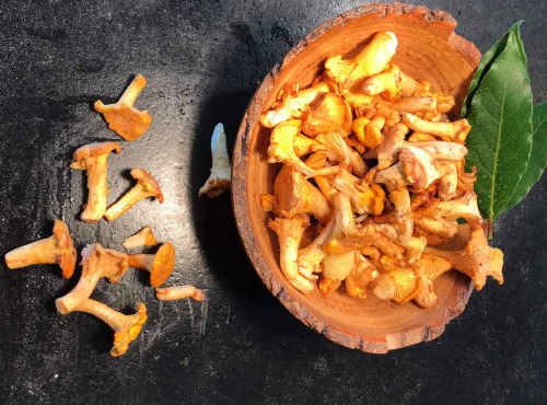 Des Poules et des Vignes à Bourgueil - Girolles