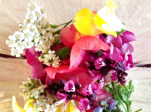 Nature et Saveurs - Ferme Aquaponique et Permacole Astérienne - Fleurs Fraiches & Comestibles en mélange (200 pièces)