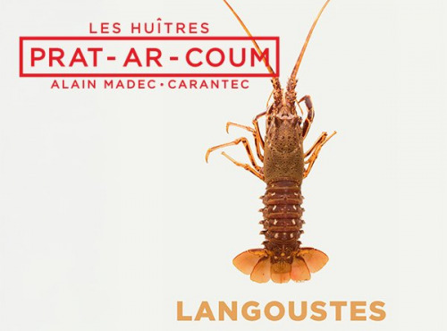 Huîtres Prat-Ar-Coum Alain Madec - langouste royale 800 grs-1 kilo