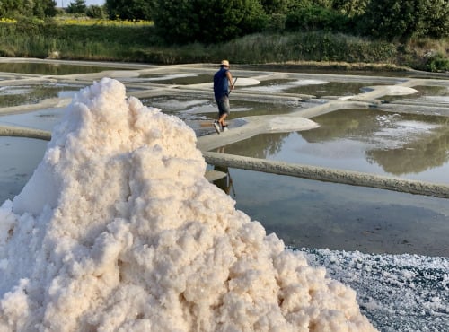 Artisans du Sel - Fleur de Sel de Guérande IGP 100% naturelle - 25kg | Artisans du Sel