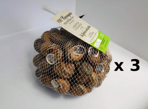 La Ferme Enchantée - 300 Escargots PETITS GRIS Vifs, Jeunés Prêt À Cuisiner - 3x100 Pièces