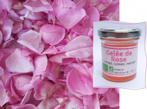 L'Agricueilleur du Suzon - Gelée de Rose Bio