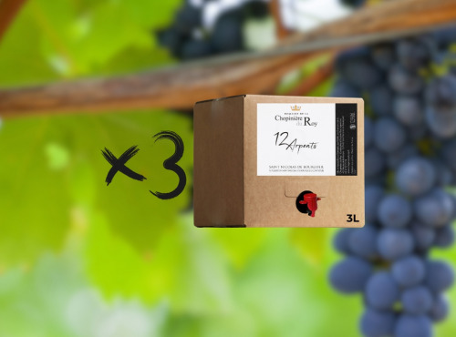 Domaine de la Chopinière du Roy - Lot 3 BIB de Vin Rouge Saint Nicolas de Bourgueil 2024 - 3 Litres