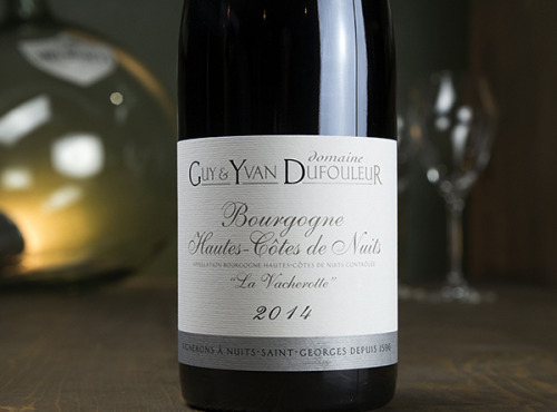 Dyvin : domaine Guy et Yvan Dufouleur - Domaine Guy & Yvan Dufouleur - Hautes-Côtes de Nuits Rouge "16e génération" - Lot de 6 Bouteilles