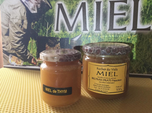 Rucher du Viala - Miel De Thym 250g