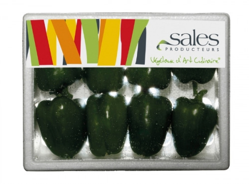 Maison Sales - Végétaux d'Art Culinaire - 14- Mini Poivron Vert - 8 Pièces