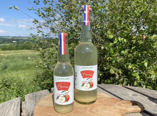 Ferme Sinsac - Pétillant de pommes lot de 12 x 33cl