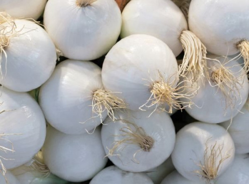 ChâteauFer - Oignon blanc 1kg
