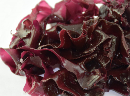 Algolesko - Algue Dulse Bio 1kg