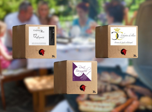 Domaine de la Chopinière du Roy - BIB les essentiels 3L – Lot de 3 bag in box différents (Vin Rouge, Rosé, Blanc) – 3 x 3 Litres