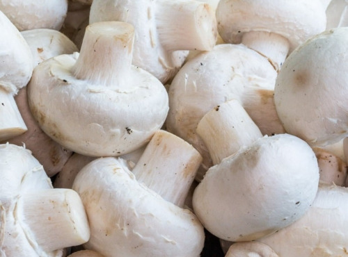 Maréchal Fraicheur - Champignons blancs - 1 kg