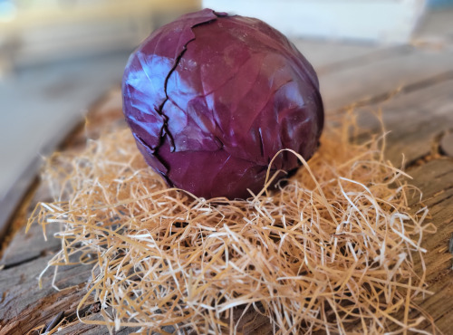 Les Jardins de Gérard - Chou rouge lisse - Poids moyen 800g