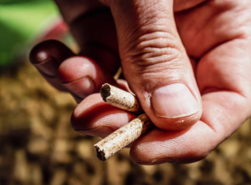 La Ferme de Franck et Blandine - l'Or Brun de notre ferme