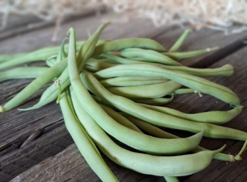 Les Jardins de Gérard - Haricot vert Bio - 100 g