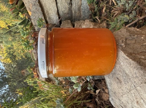 L’Oliveraie du Coudon - CONFITURE EXTRA DE FRUITS EXOTIQUES 345 gr