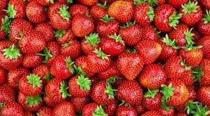 Les Jardins de Mondpa - fraises mélange