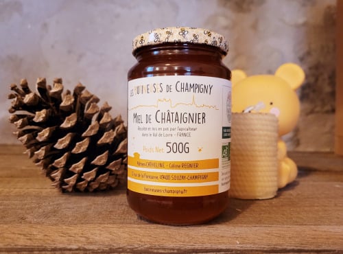 Les Butineuses de Champigny - Miel de Châtaignier BIO - 500g