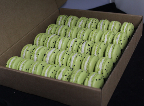 Les Macarondises - 35 Macarons Kiwi zestes de citron vert
