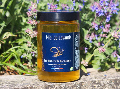 Les Ruchers de Normandie - Miel de Lavande liquide 500g