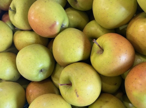 La Ferme des Prun'Elles - Pomme Goldrush