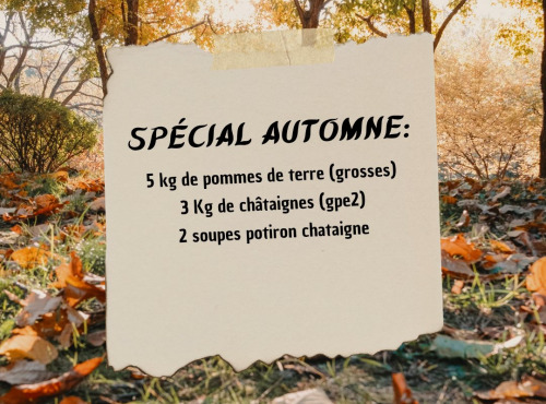 Mademoiselle Châtaigne - Produits d'automne