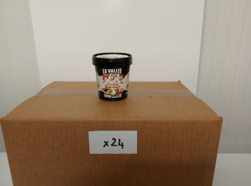 Les Glaces de la Vallée - PACK Mini crèmes glacées Praliné amande noisette "la Vallée" 24 pots de 120 ml