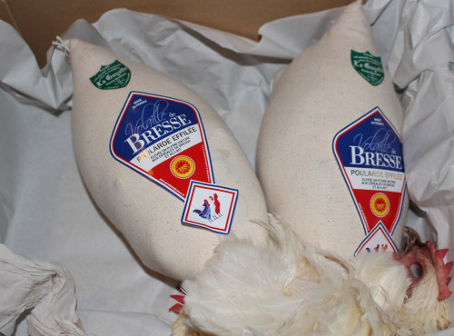 La Guyotte Ferme Bressane - [Précommande] Poularde de Bresse AOP de la Guyotte effilée roulée 2.2 kg