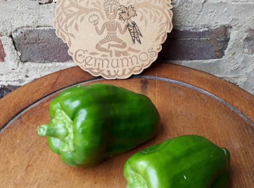 Ferme de Cernunnos - Poivron verts à l'unité - 130g