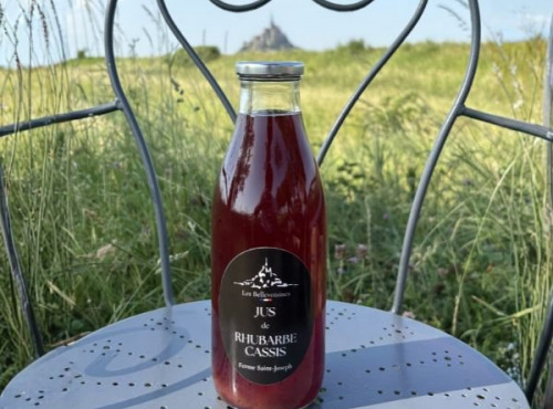 Ferme Saint Joseph - Jus de rhubarbe cassis 1L