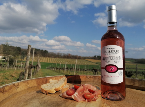 Domaine de la Tuilerie - AOP Côtes De  Duras  Rosé 2020 Domaine De La Tuilerie Labreille 3 X 75 CL