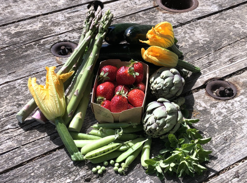 La Boite à Herbes - Panier légumes bio 2.5 kg