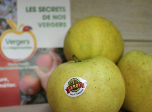 Le Châtaignier - Pommes Chantecler - Colis 14 Kg