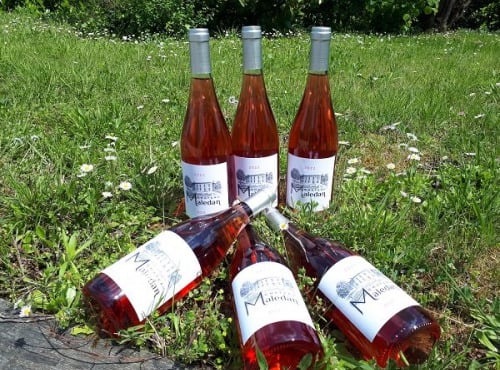 Vignobles Brunot - Bordeaux Rosé - Château Maledan 2023 - 6x75cl