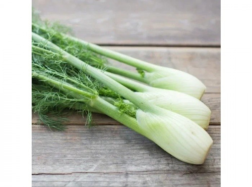 Nature et Saveurs - Ferme Aquaponique et Permacole Astérienne - Mini fenouil – fraîcheur anisée et finesse gastronomique