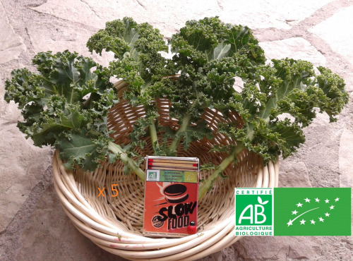 LES JARDINS DE KARINE - Chou Kale - Jeunes feuilles - 500g