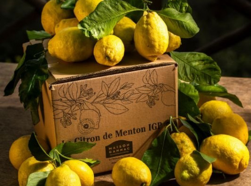 Maison Gannac - Citron de Menton IGP BIO