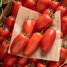 Des Poules et des Vignes à Bourgueil - Tomates Torino