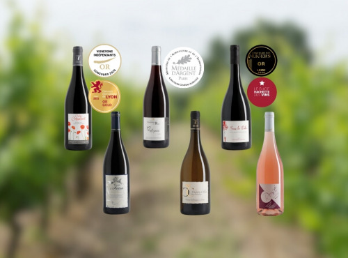 Domaine de la Chopinière du Roy - Coffret découverte "Les 6 vins de Loire du Domaine" - 6 x 75 cl