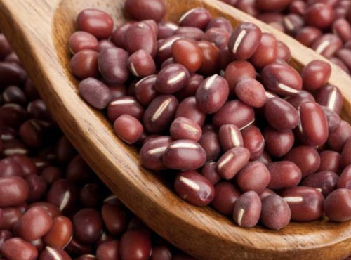 L’Oliveraie du Coudon - Haricots azuki 500g