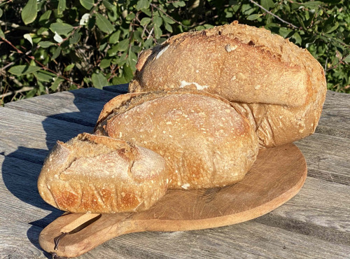 Ferme Sinsac - Panier de tartelettes et pains au levain pour Noël (6 personnes)