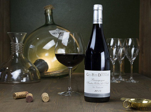 Dyvin : domaine Guy et Yvan Dufouleur - Domaine Guy & Yvan Dufouleur - Hautes-Côtes de Nuits Rouge "16e génération" - Lot de 6 Bouteilles