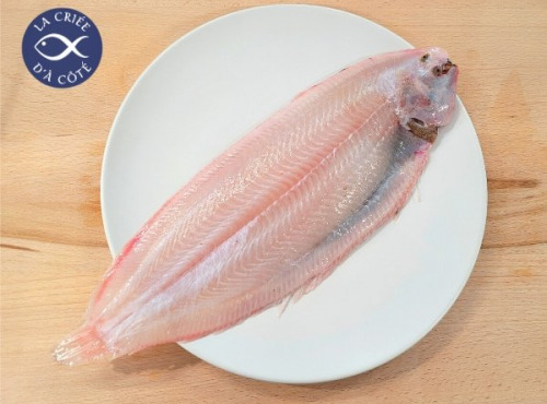 La Criée d'à Côté - Sole | 330g à 350g la pièce
