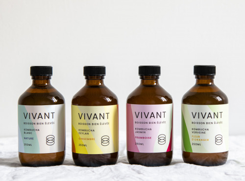 Vivant Kombucha - Coffret Découverte Kombucha Bio x12